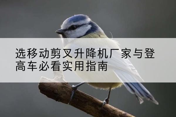 五莲电动升降机厂家-选移动剪叉升降机厂家与登高车必看实用指南