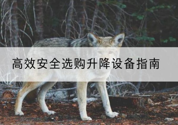 五莲升降货梯厂家推荐-*安全选购升降设备指南